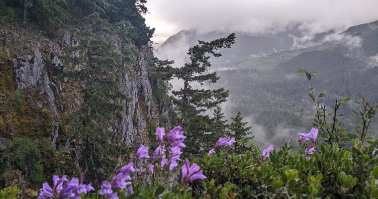 A Tale of Two White Rivers